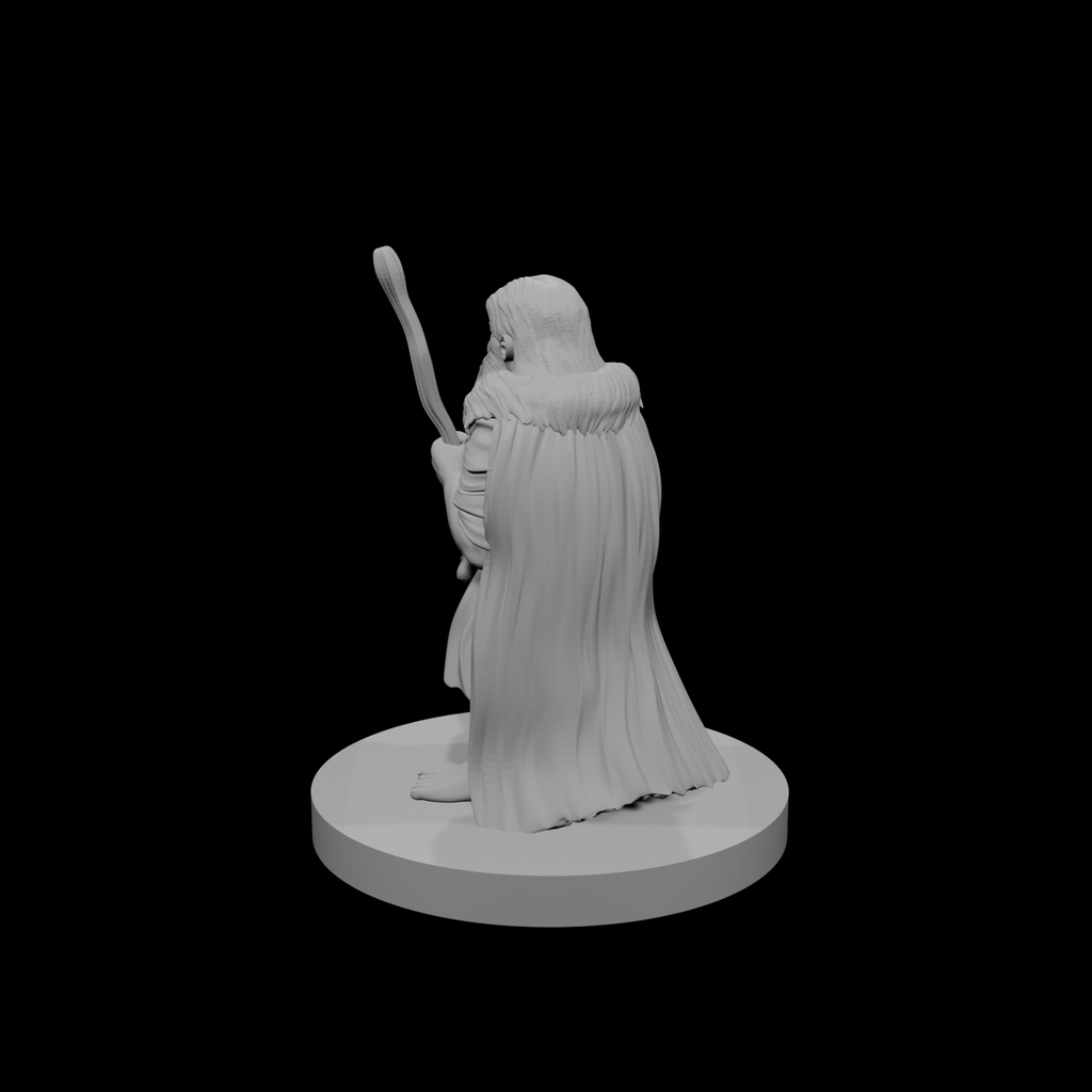 Druide mâle nain 3