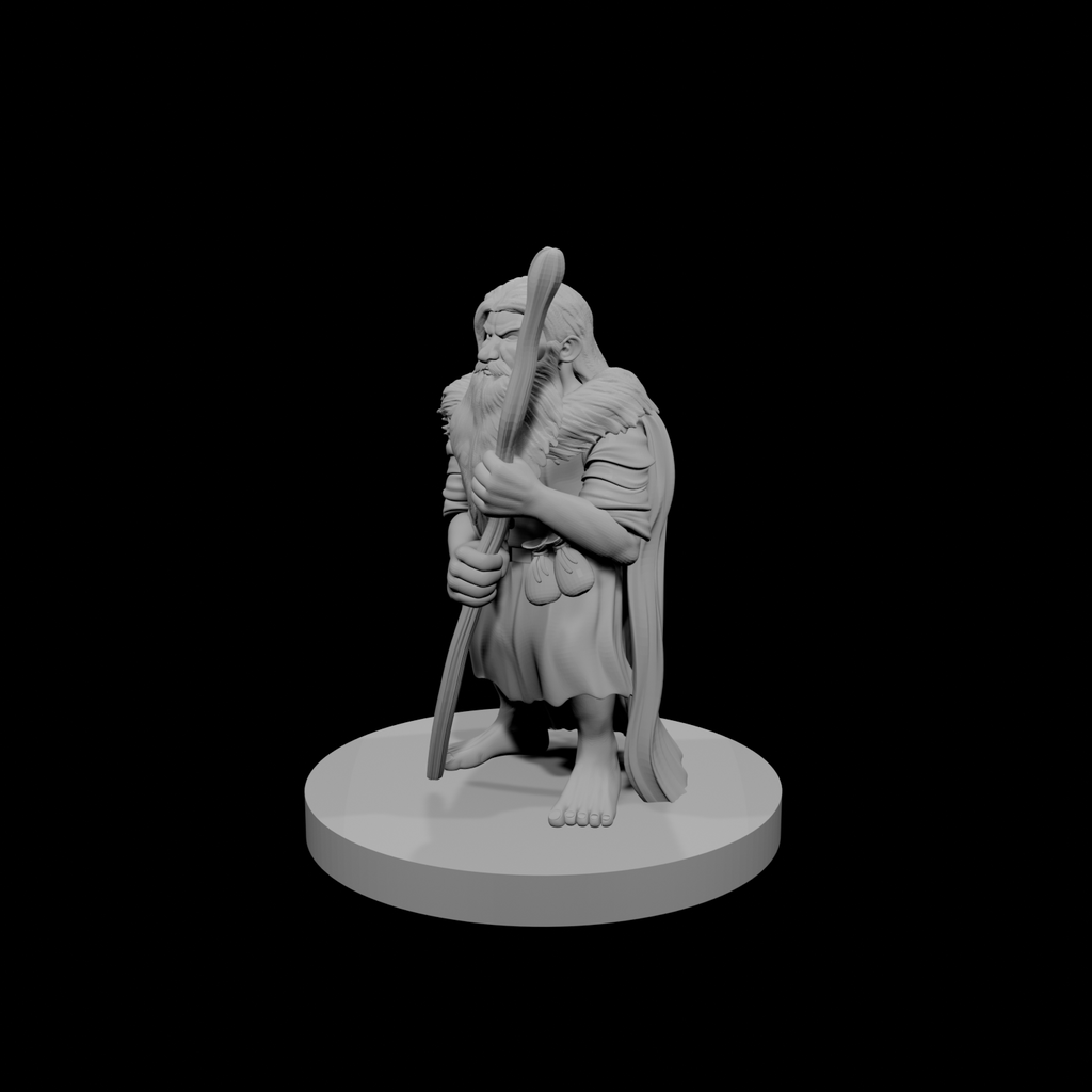 Druide mâle nain 3