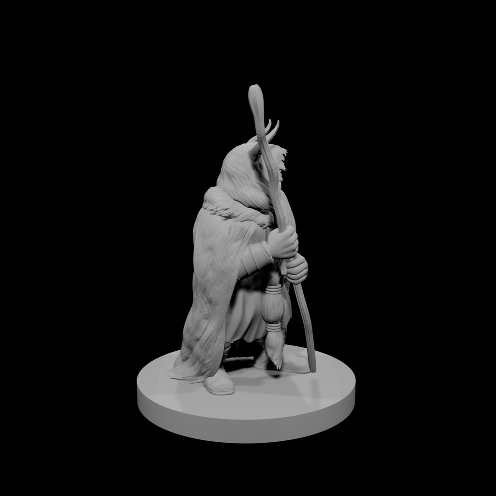 Druide mâle nain 4