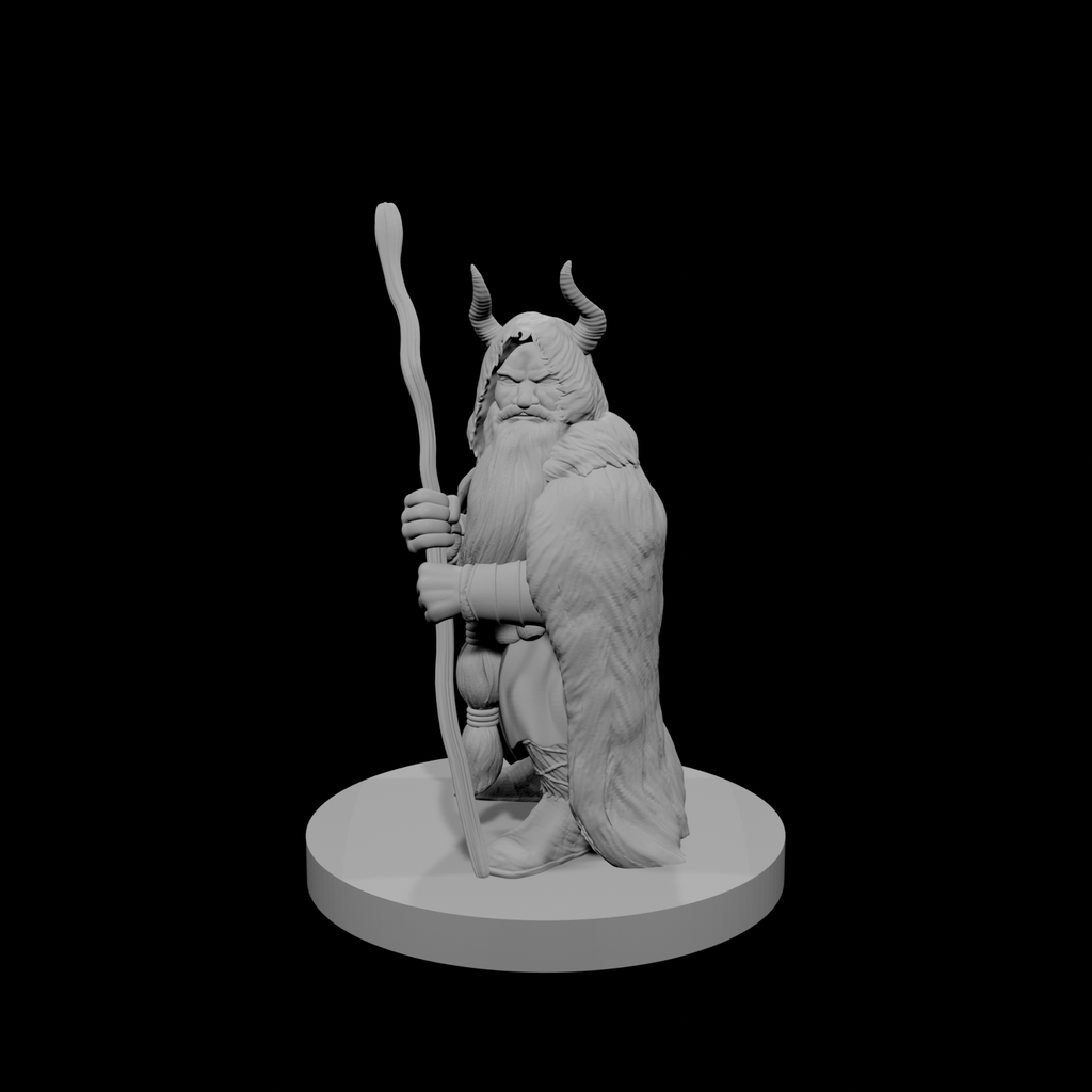 Druide mâle nain 4