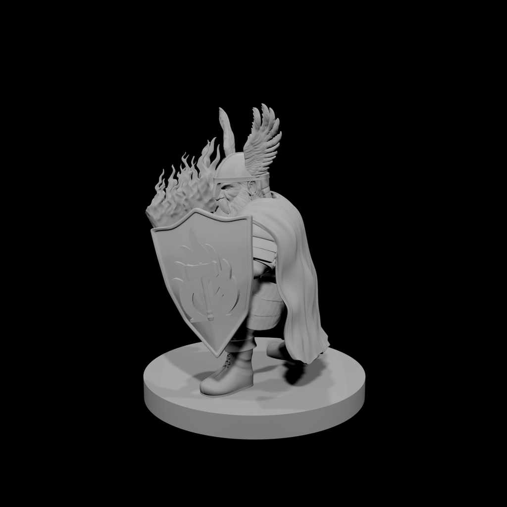 Paladin nain mâle