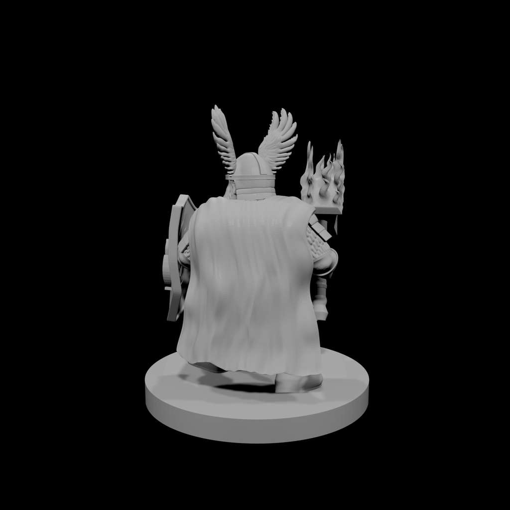 Paladin nain mâle