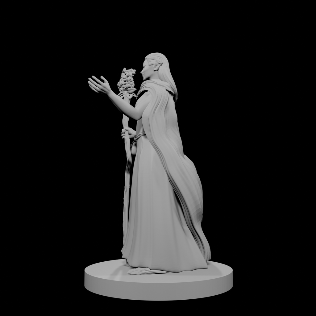 Druide elfe (femme) 4