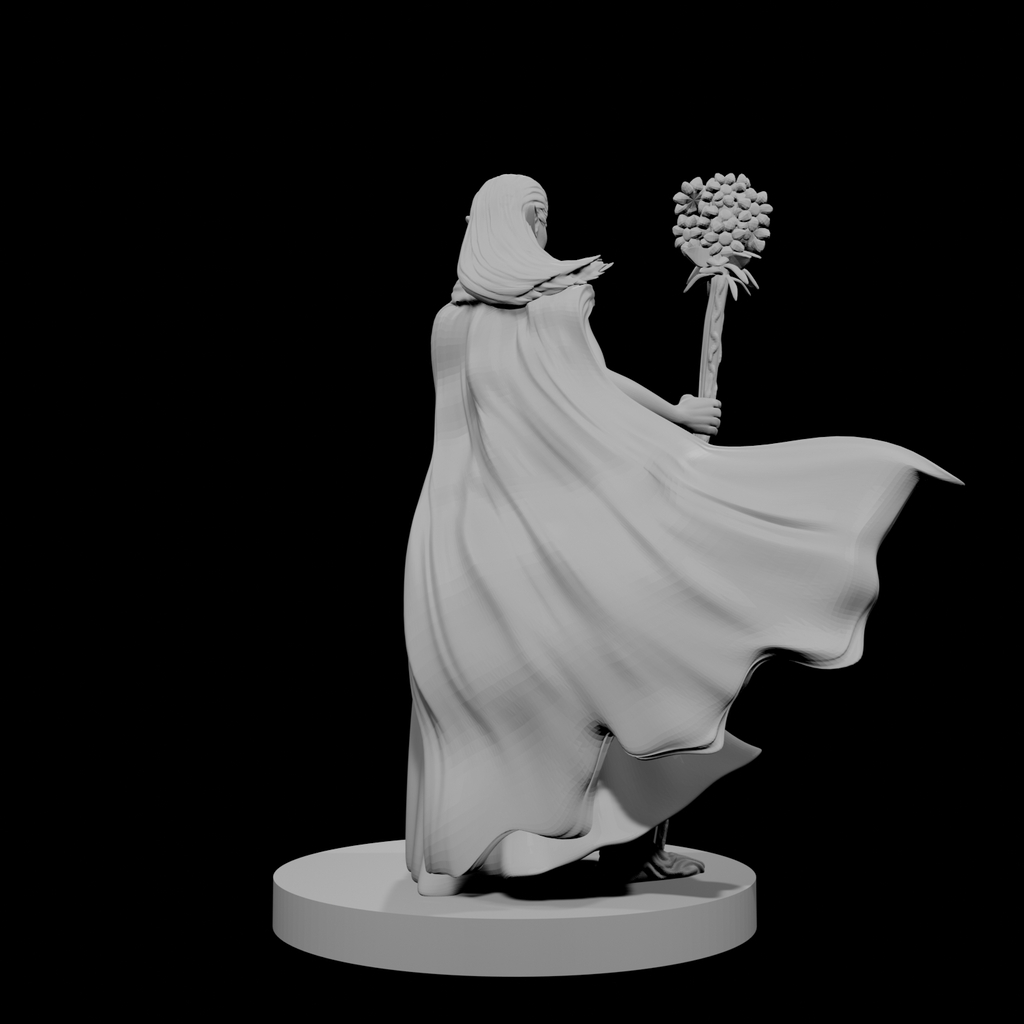 Druide elfe (femme) 4
