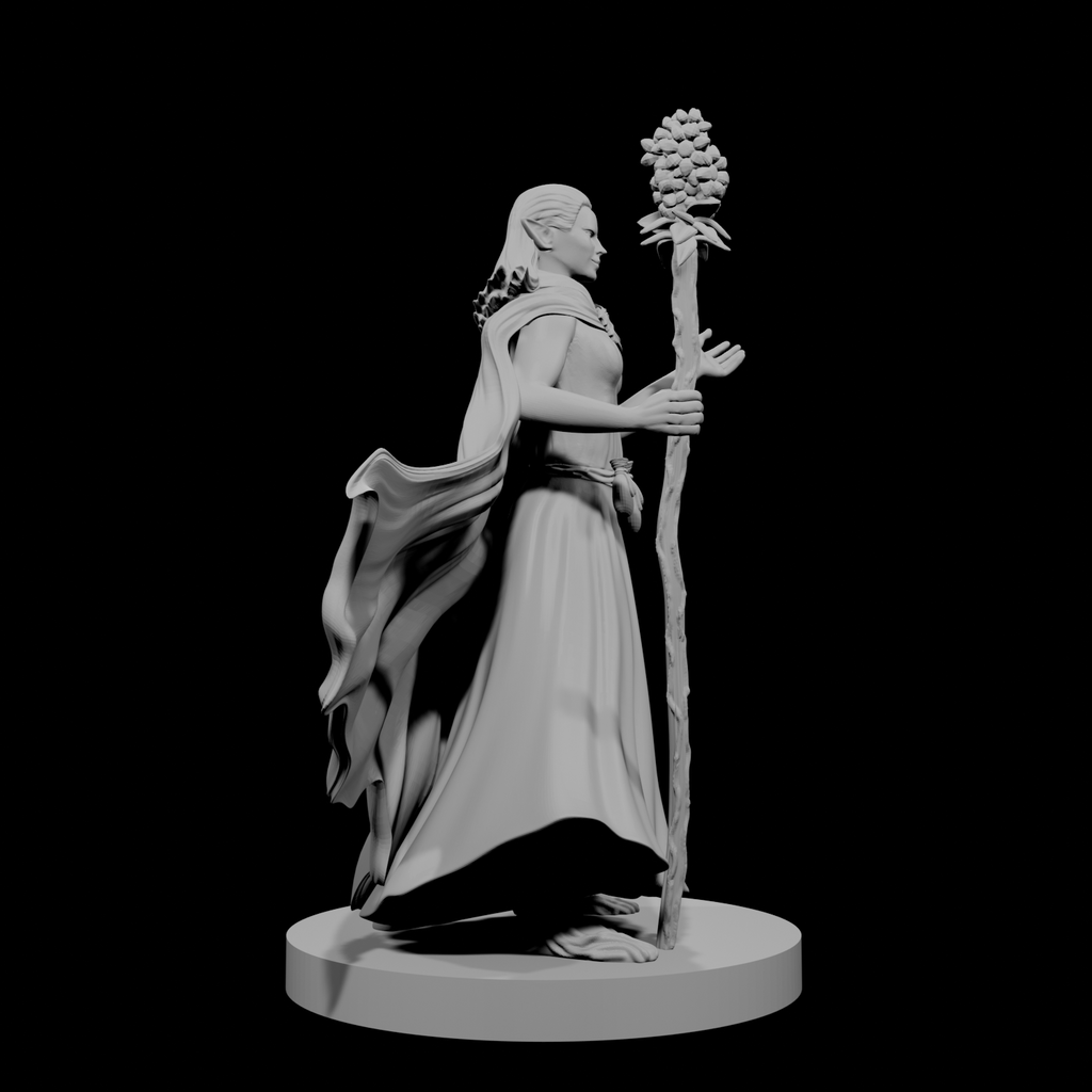 Druide elfe (femme) 4