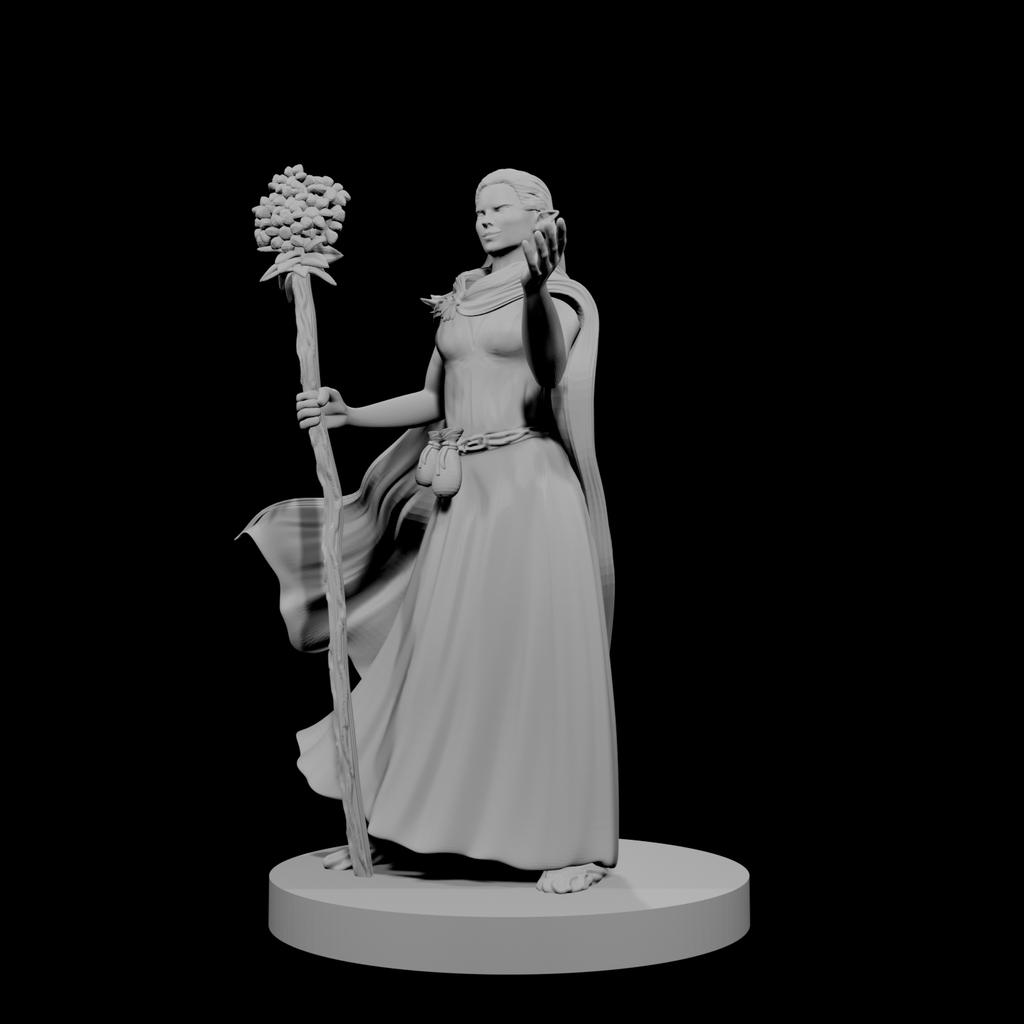 Druide elfe (femme) 4