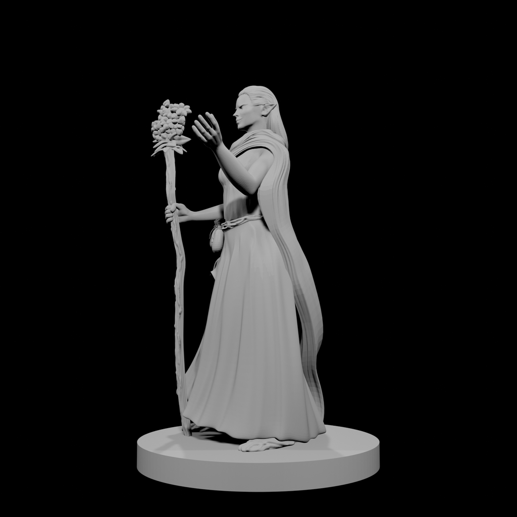 Druide elfe (femme) 4