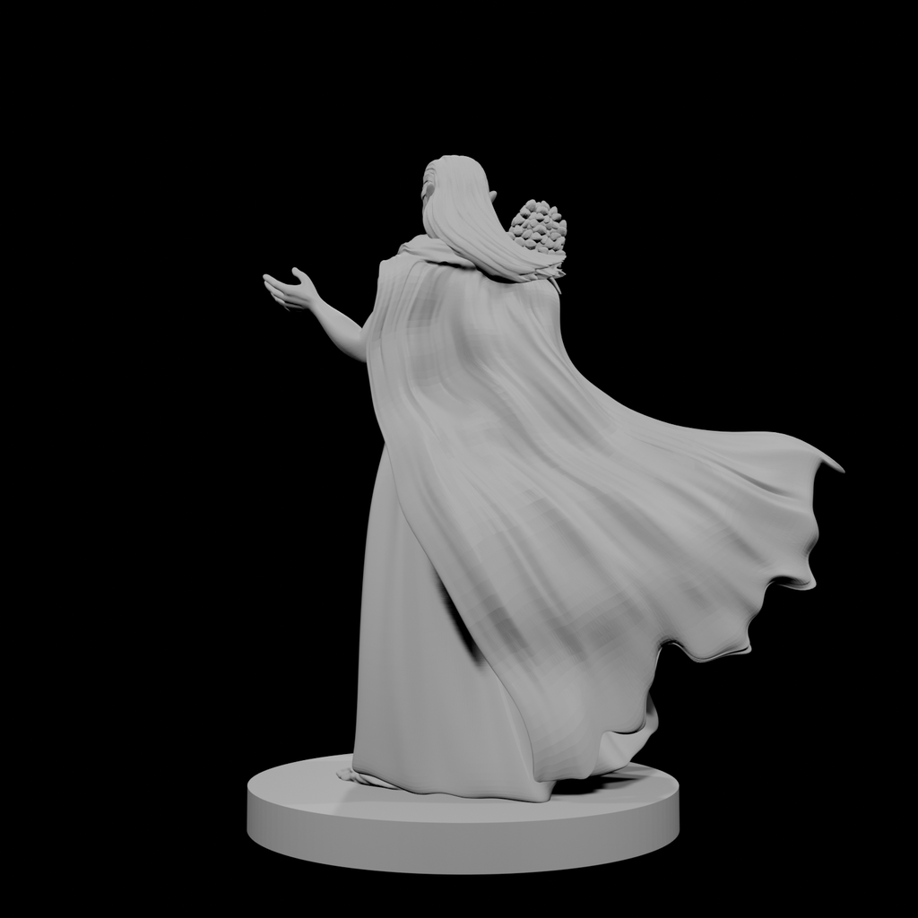 Druide elfe (femme) 4