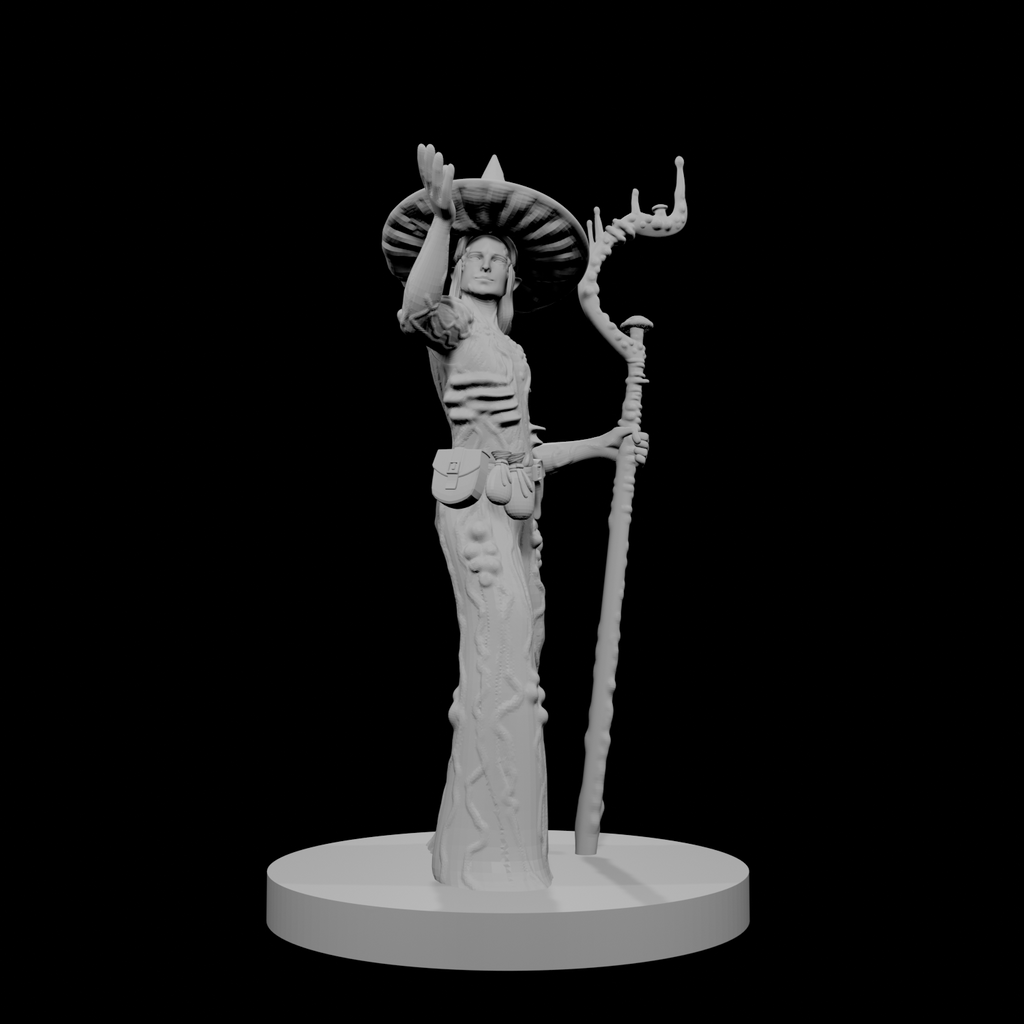 Elfe femelle Druide Cercle des Spores 2