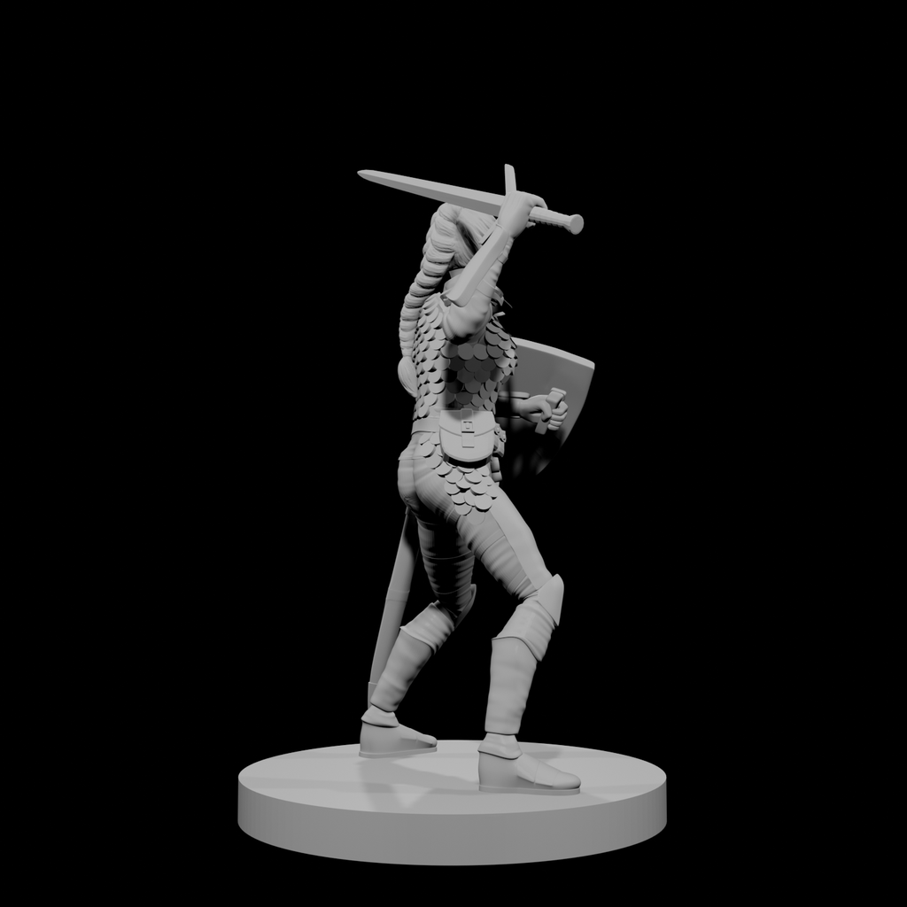 Paladine elfe (femme) 1