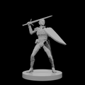 Paladine elfe (femme) 1