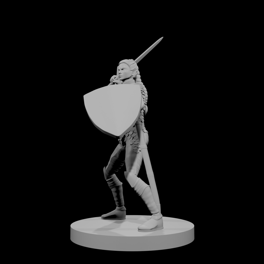 Paladine elfe (femme) 1