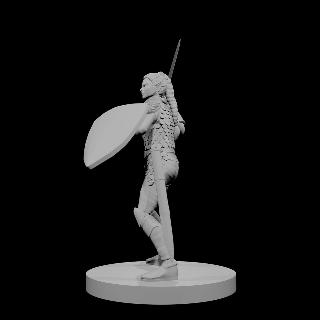 Paladine elfe (femme) 1