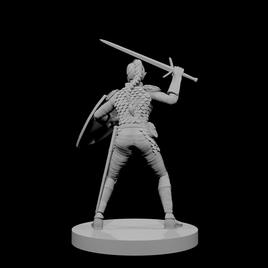 Paladine elfe (femme) 1