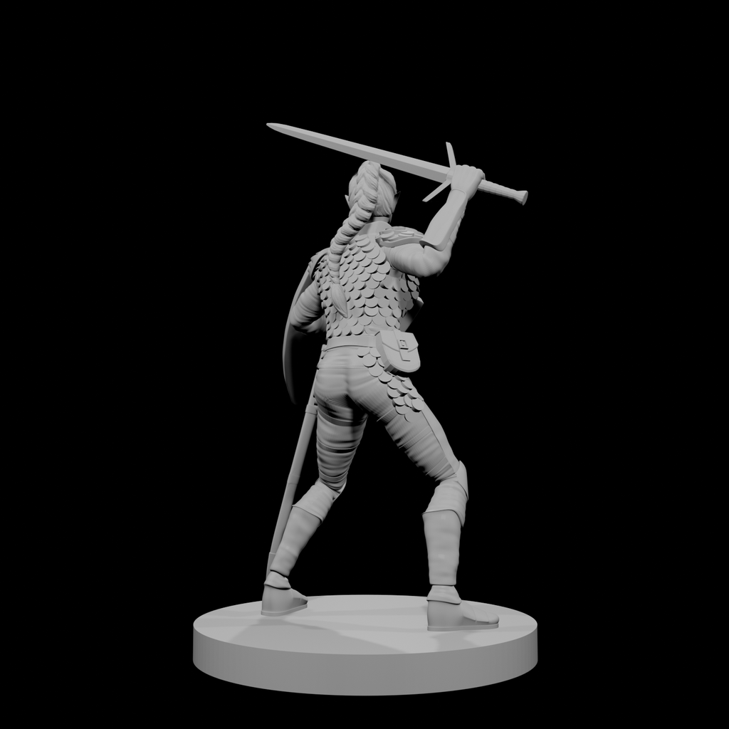Paladine elfe (femme) 1