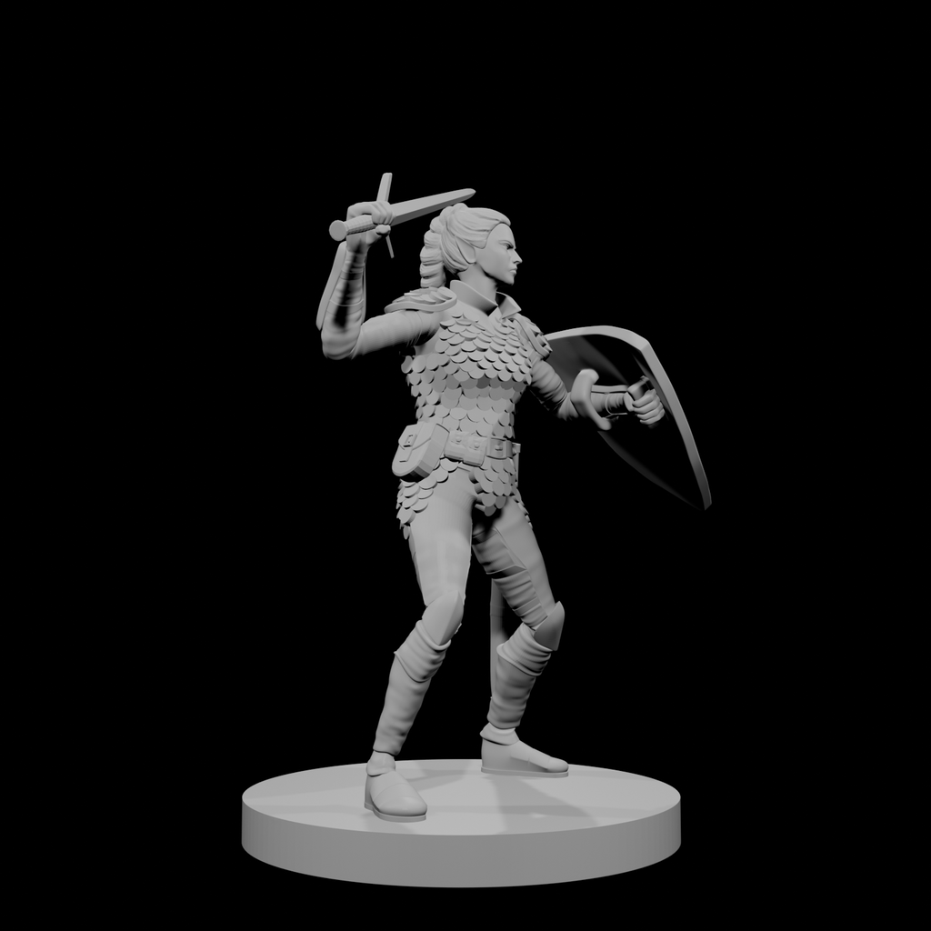 Paladine elfe (femme) 1