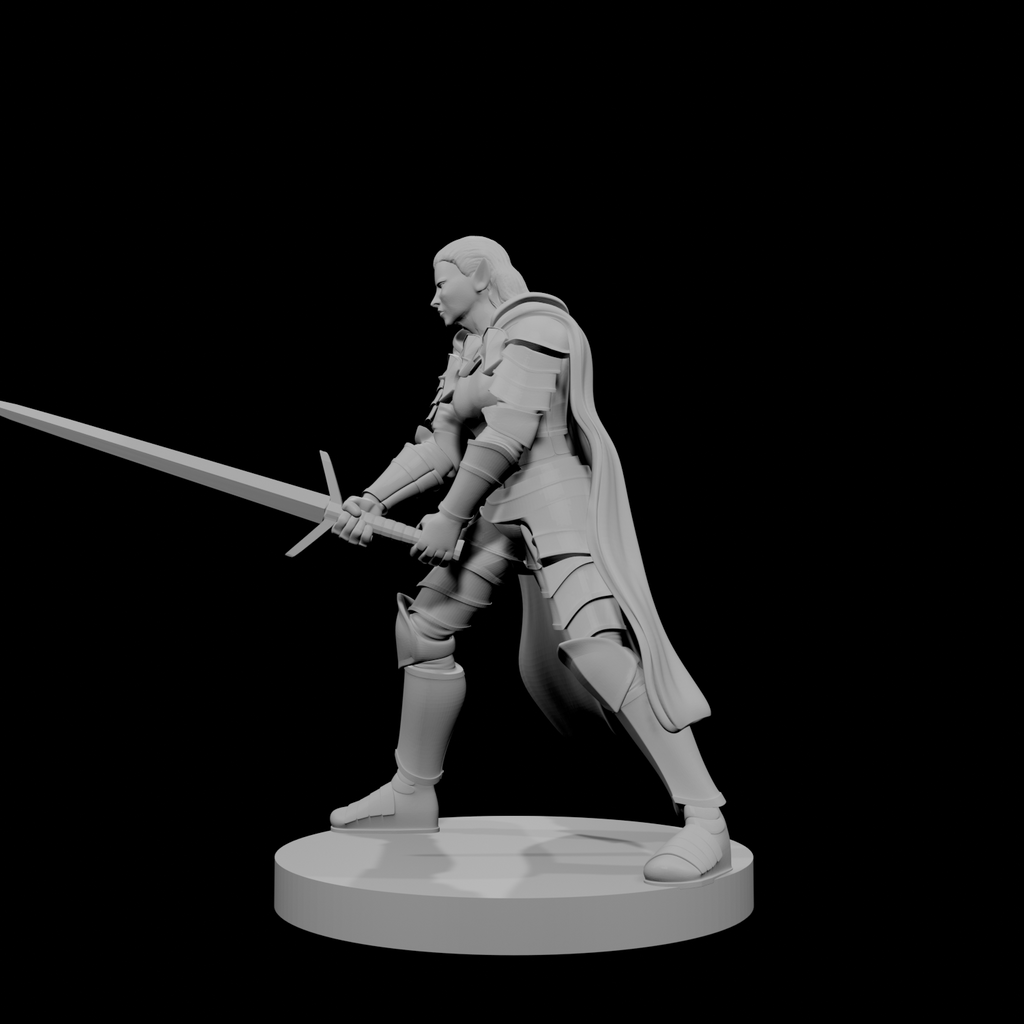 Paladin elfe (femme) 2