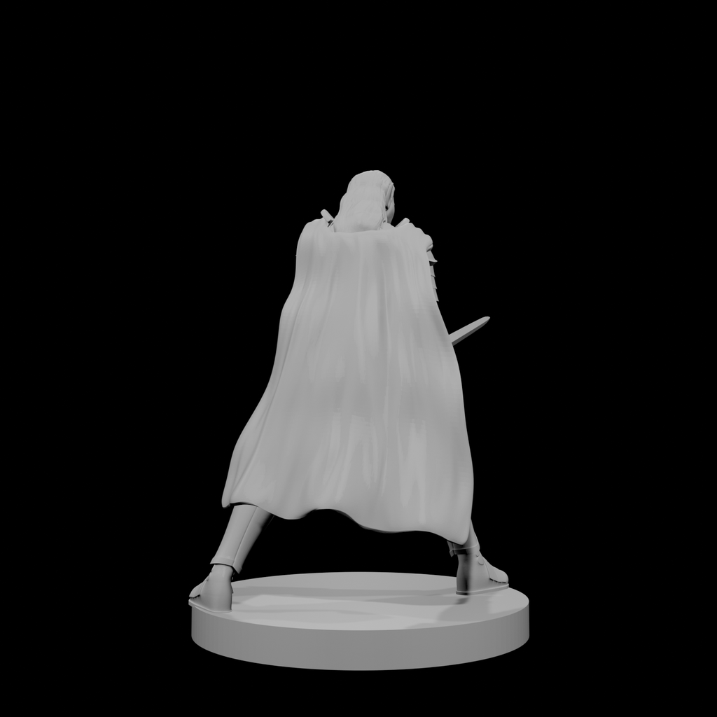 Paladin elfe (femme) 2