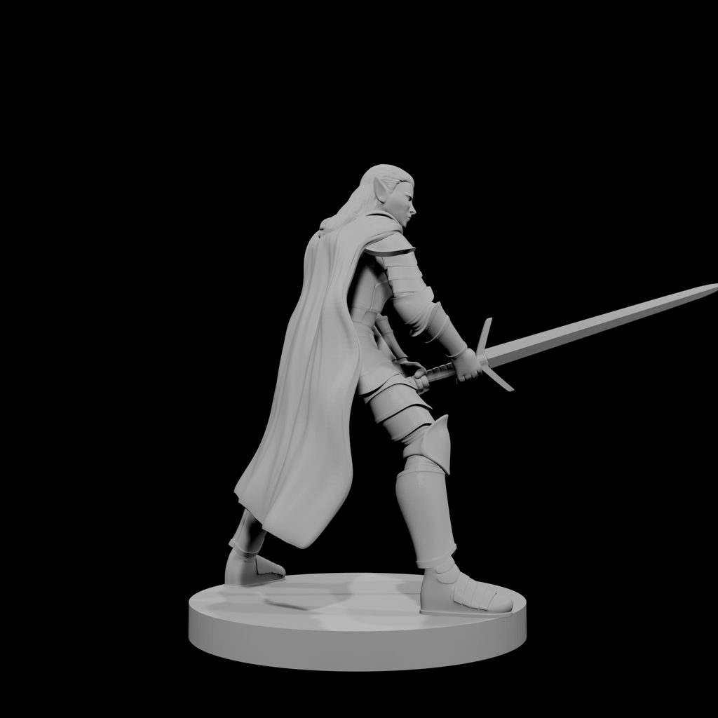 Paladin elfe (femme) 2