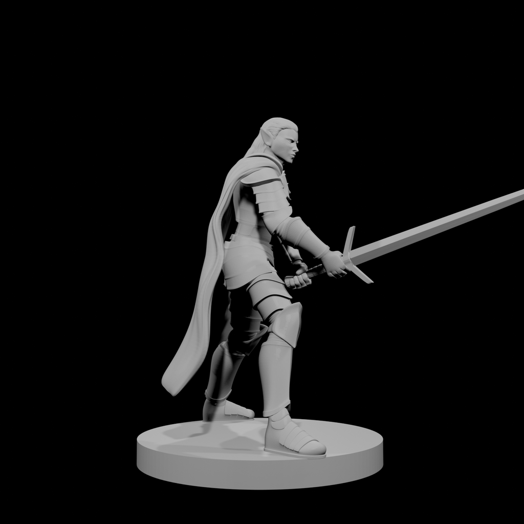 Paladin elfe (femme) 2
