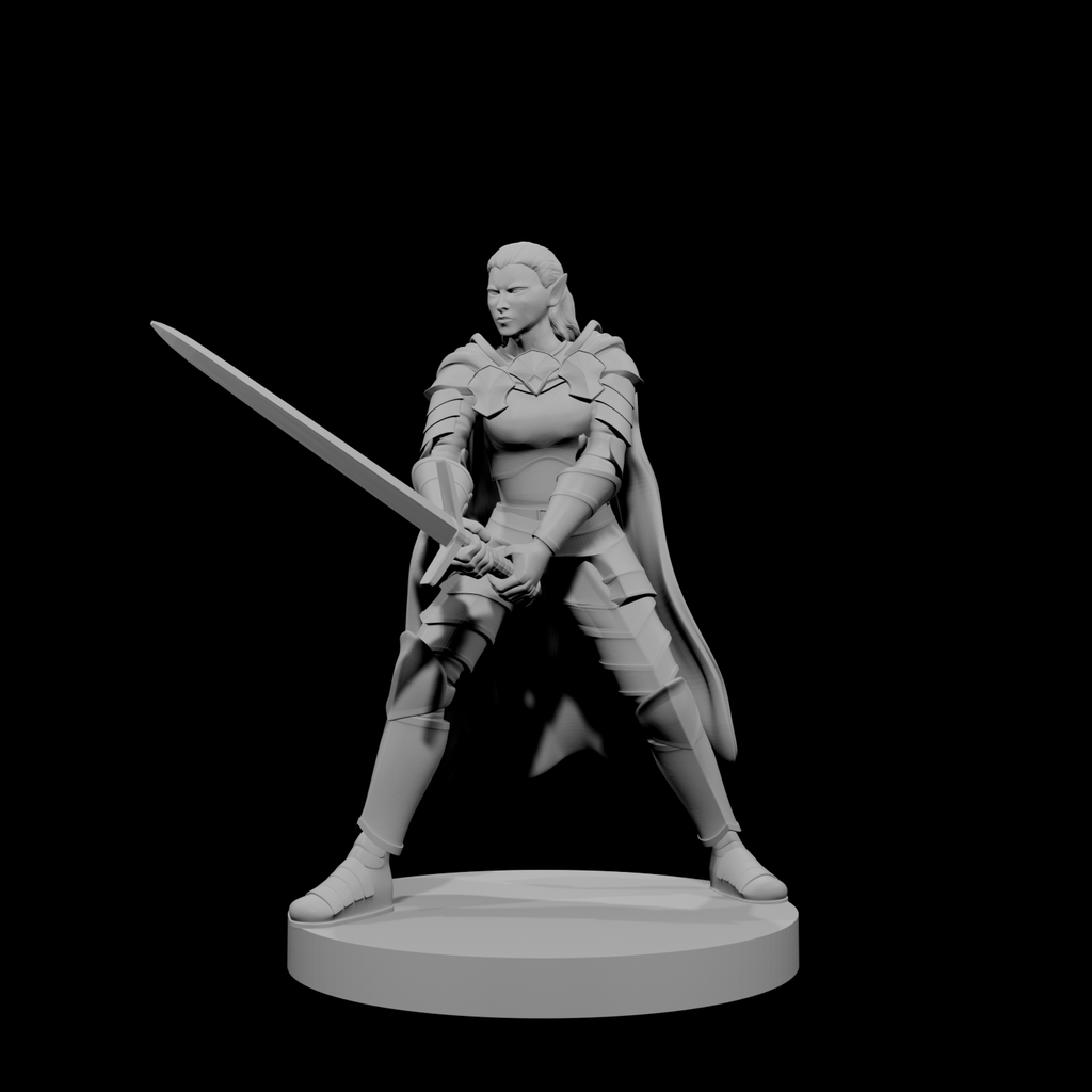 Paladin elfe (femme) 2