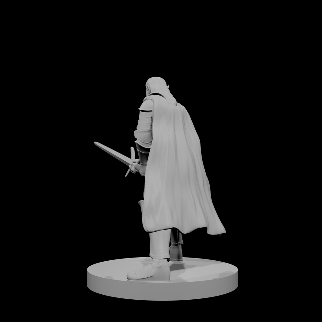 Paladin elfe (femme) 2
