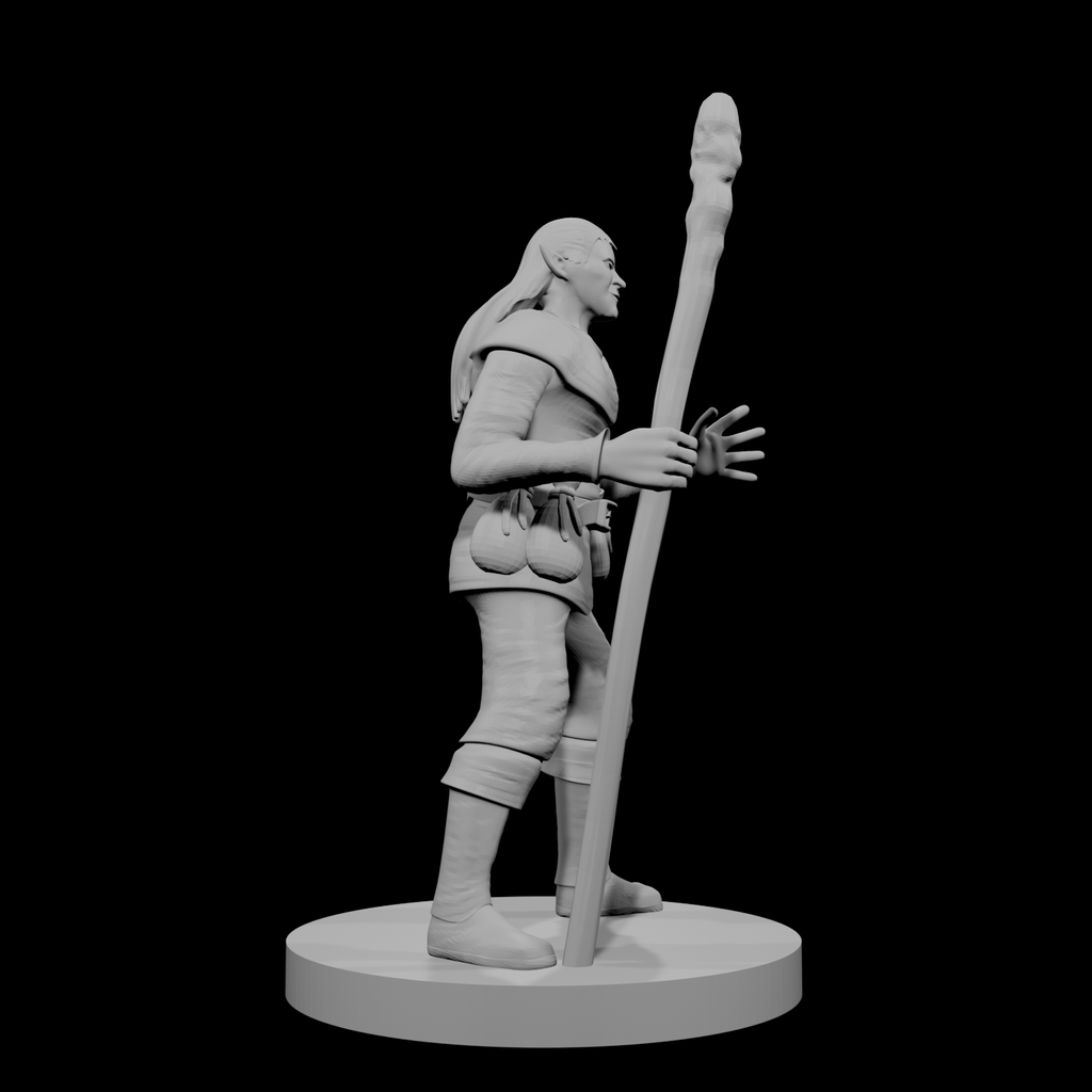 Elfe Mâle Druide