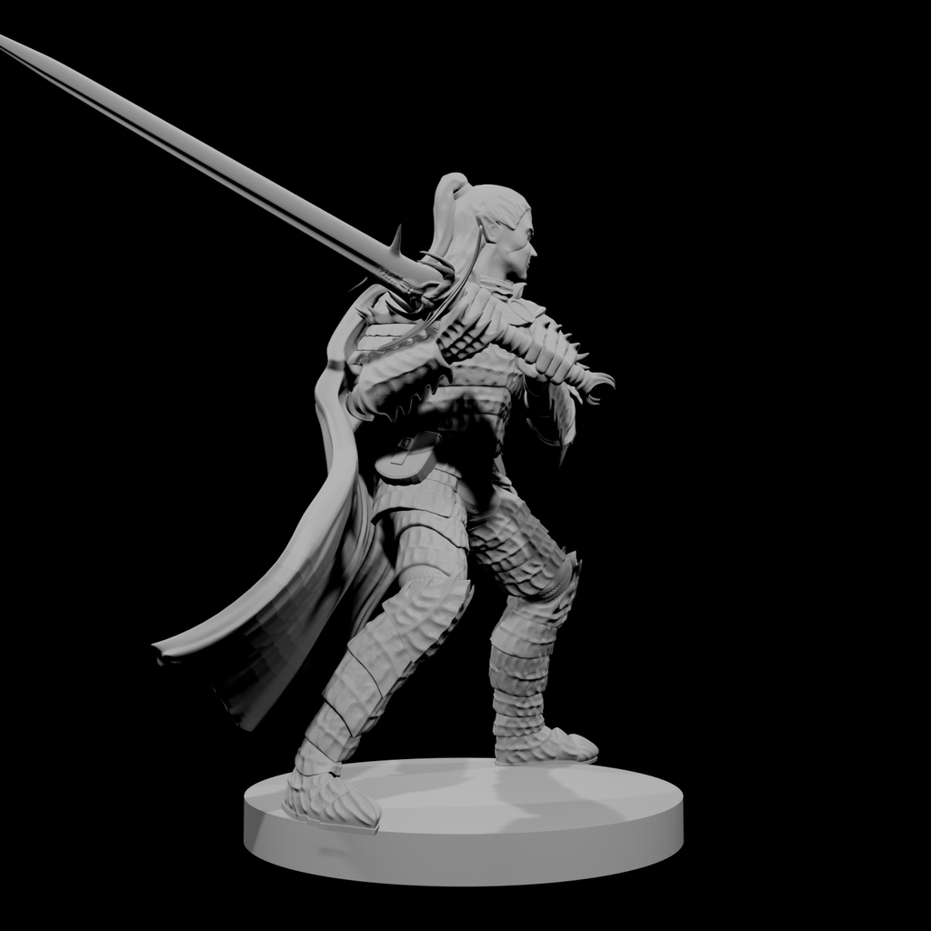 Paladin Déchu Elfe Mâle