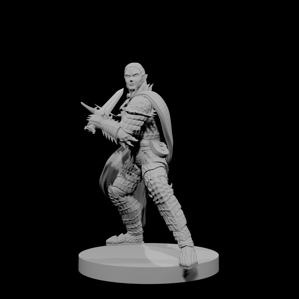 Paladin Déchu Elfe Mâle