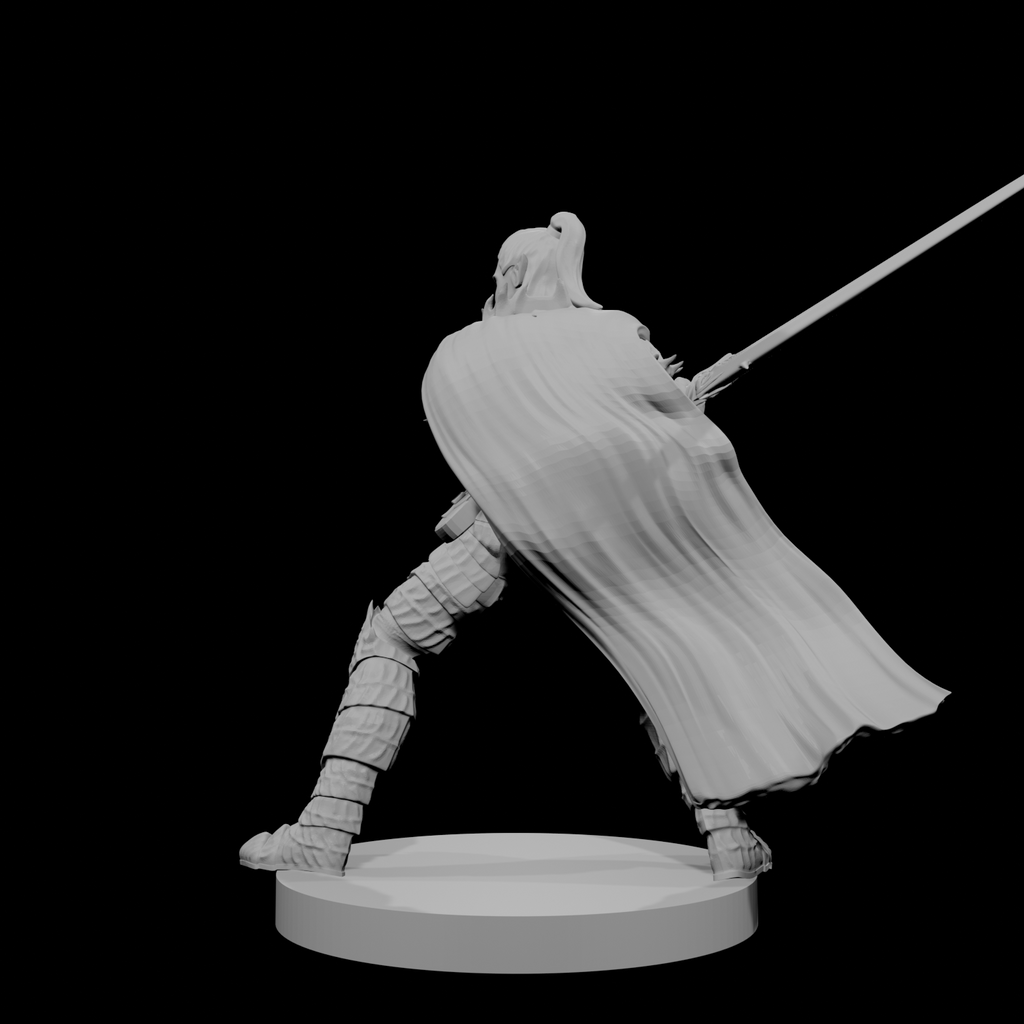 Paladin Déchu Elfe Mâle