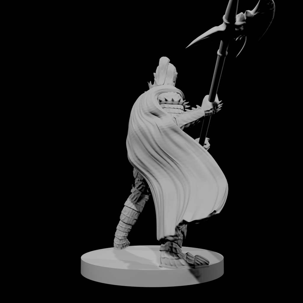 Paladin Déchu Elfe Mâle avec Hallebarde