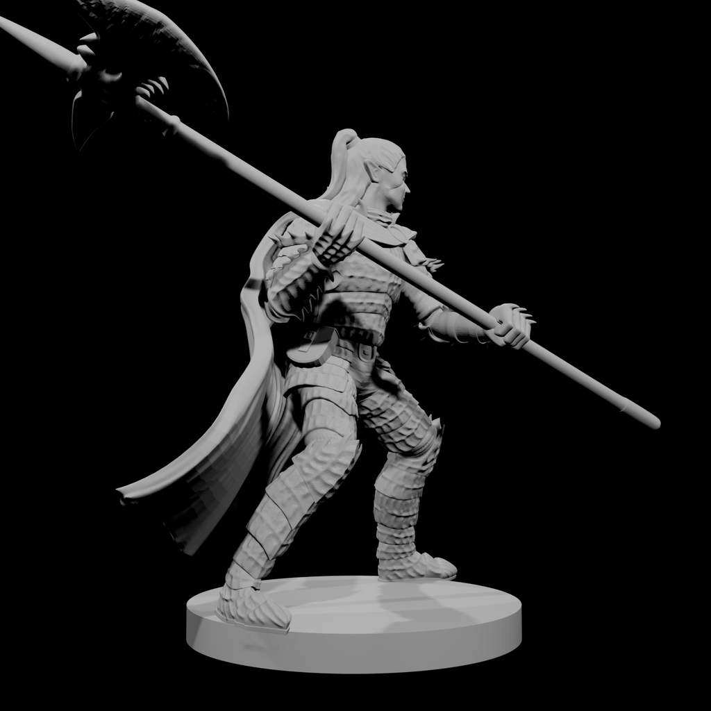 Paladin Déchu Elfe Mâle avec Hallebarde