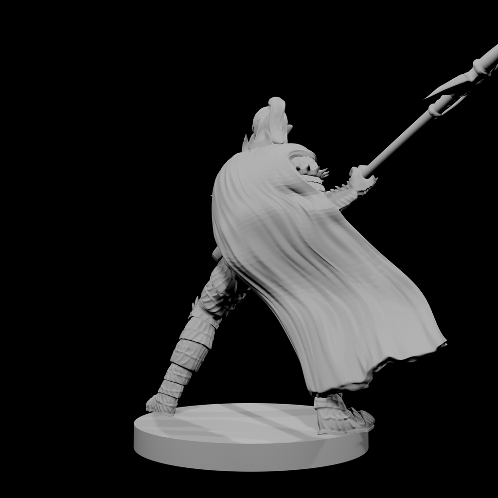 Paladin Déchu Elfe Mâle avec Hallebarde