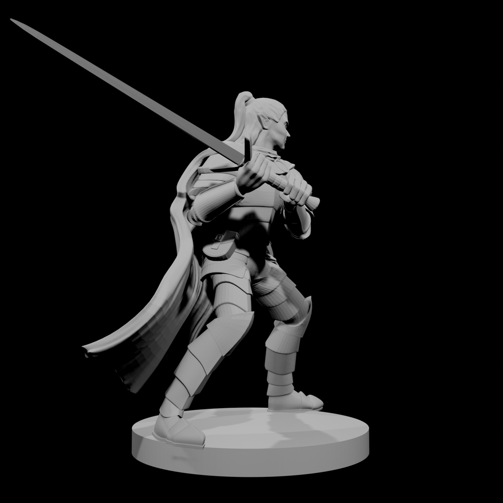 Elf Male Paladin 2
