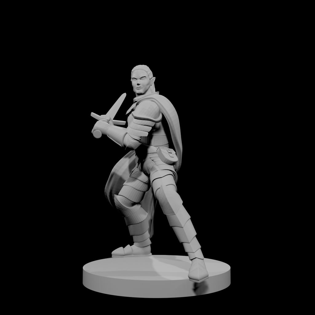 Elf Male Paladin 2