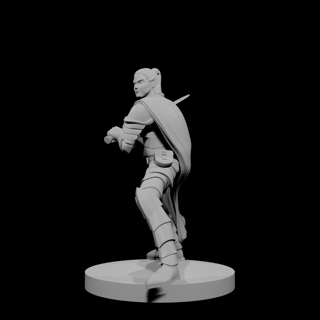 Elf Male Paladin 2