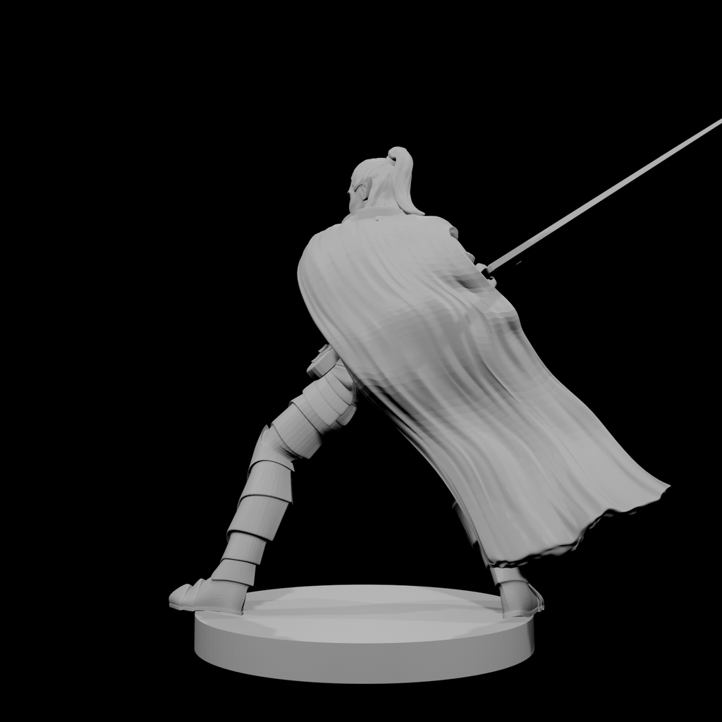 Elf Male Paladin 2