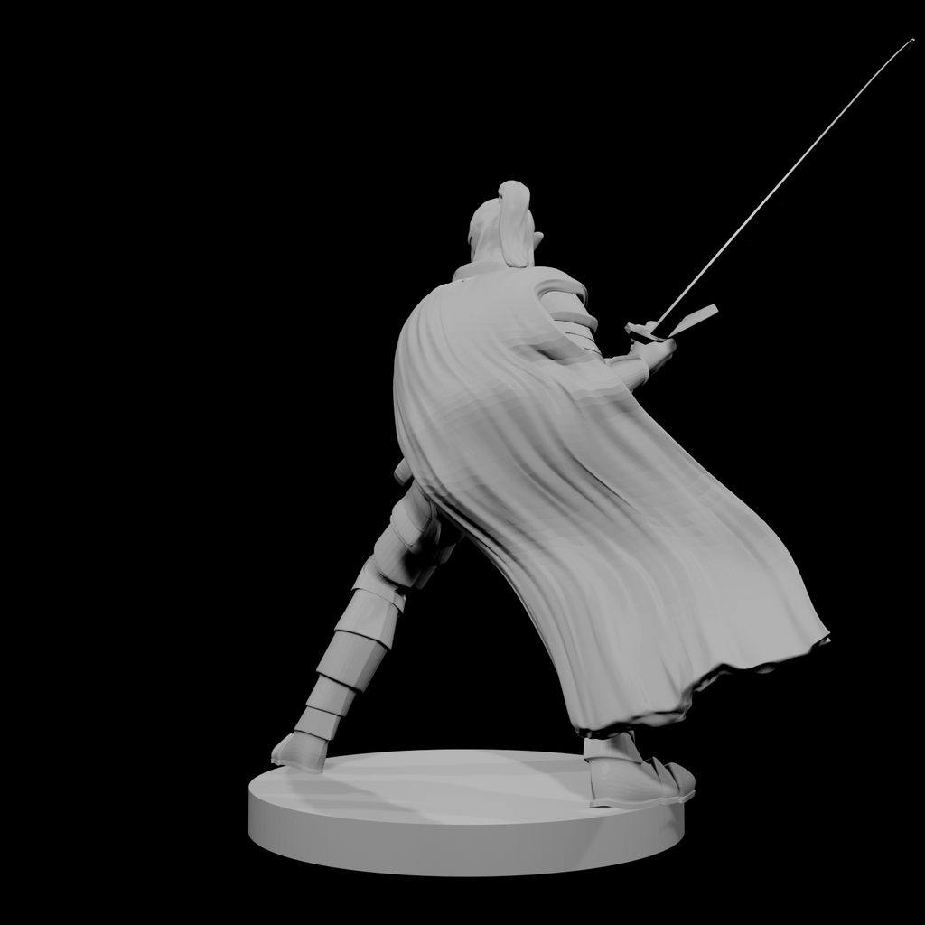 Elf Male Paladin 2