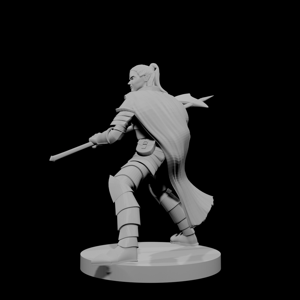 Elf Male Paladin 2 with Halberd