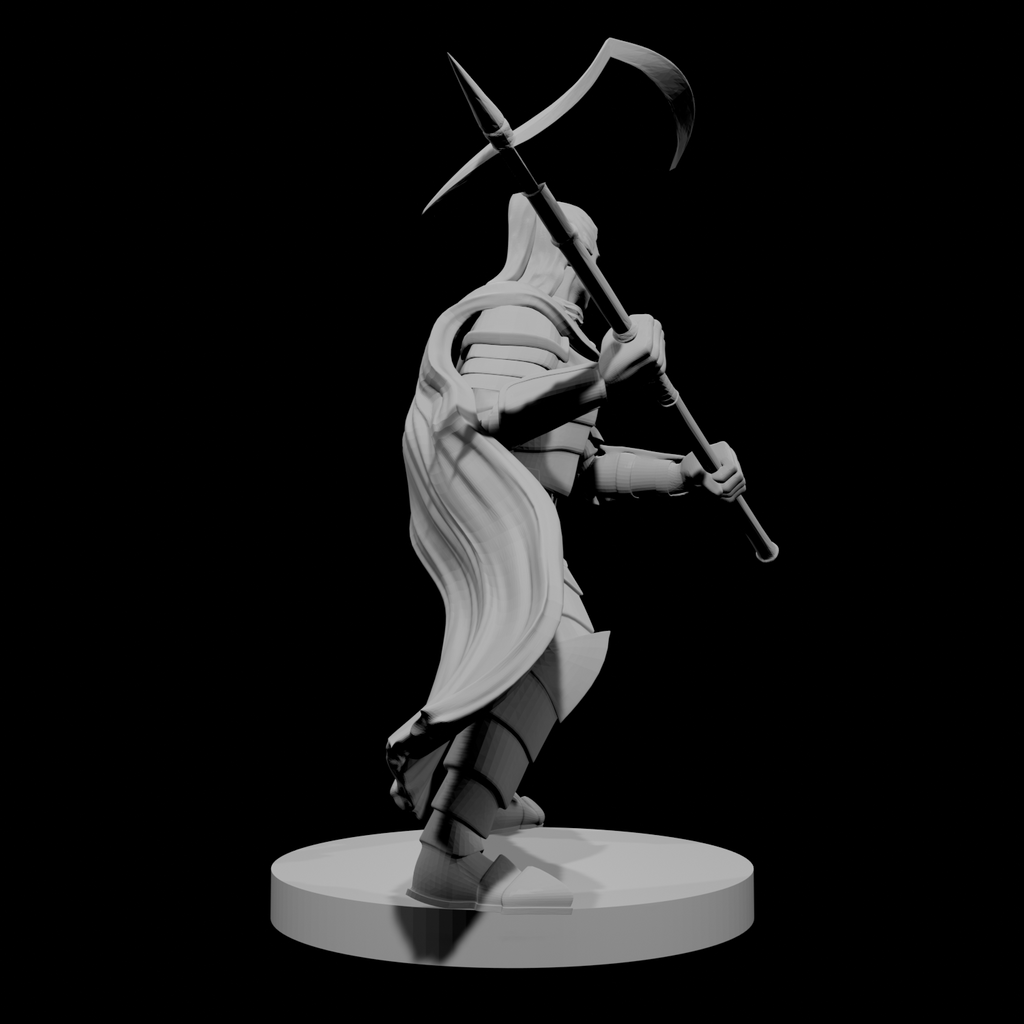 Elf Male Paladin 2 with Halberd