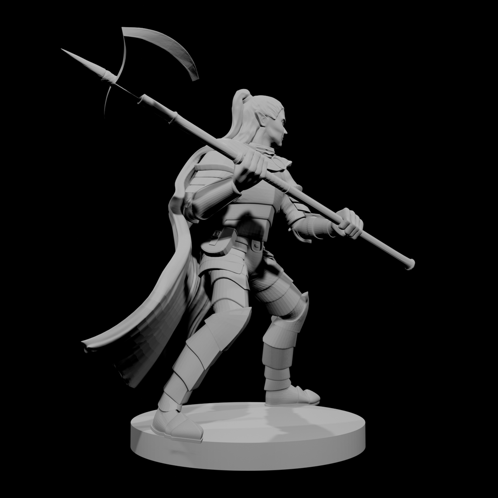 Elf Male Paladin 2 with Halberd