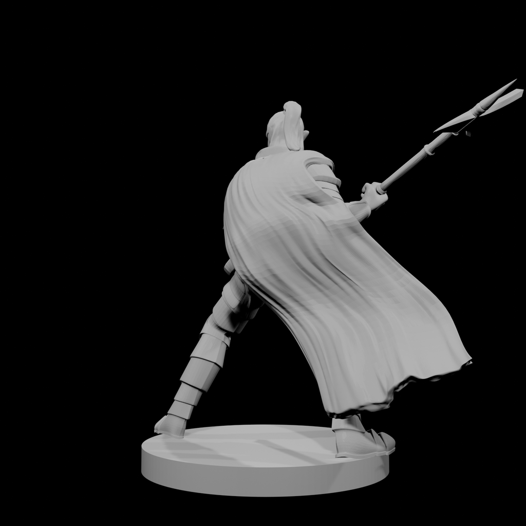 Elf Male Paladin 2 with Halberd