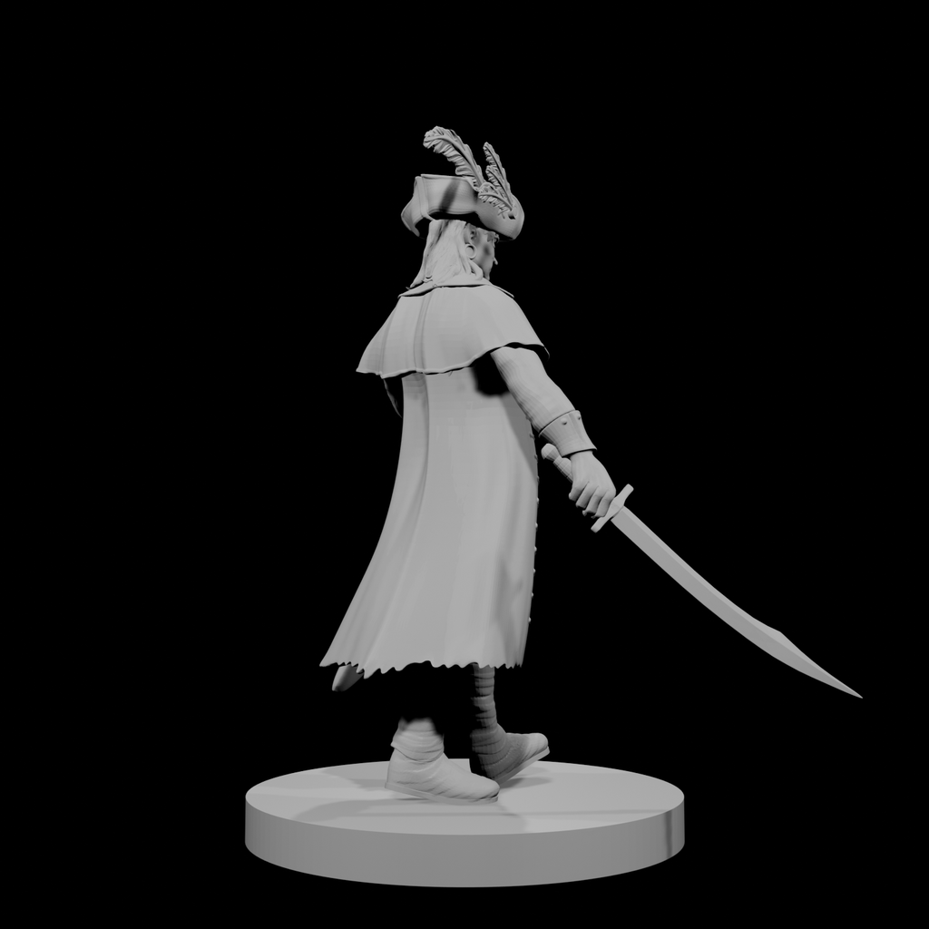 Elf Male Pirate Captain