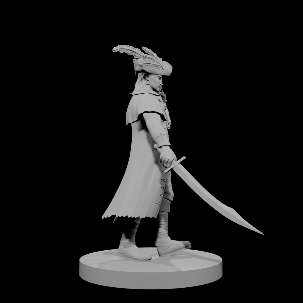 Elf Male Pirate Captain