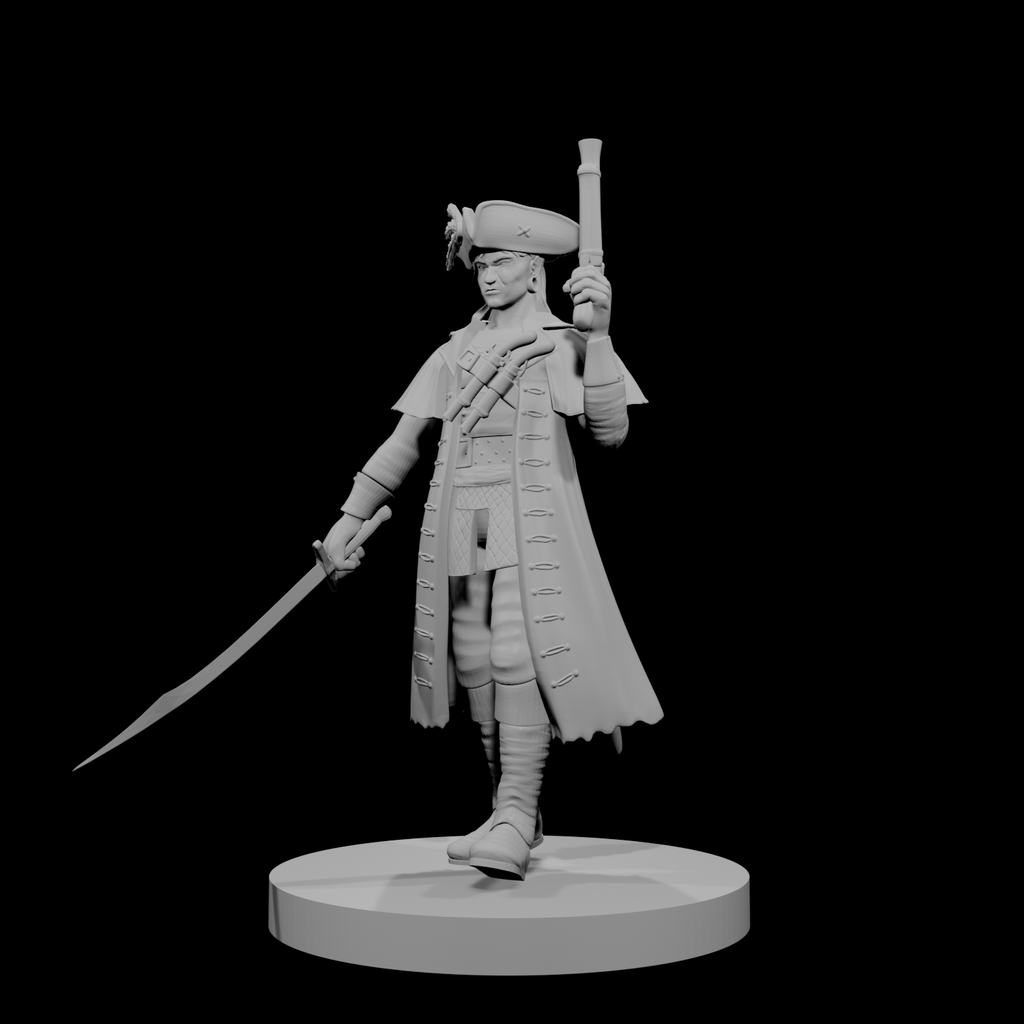 Elf Male Pirate Captain