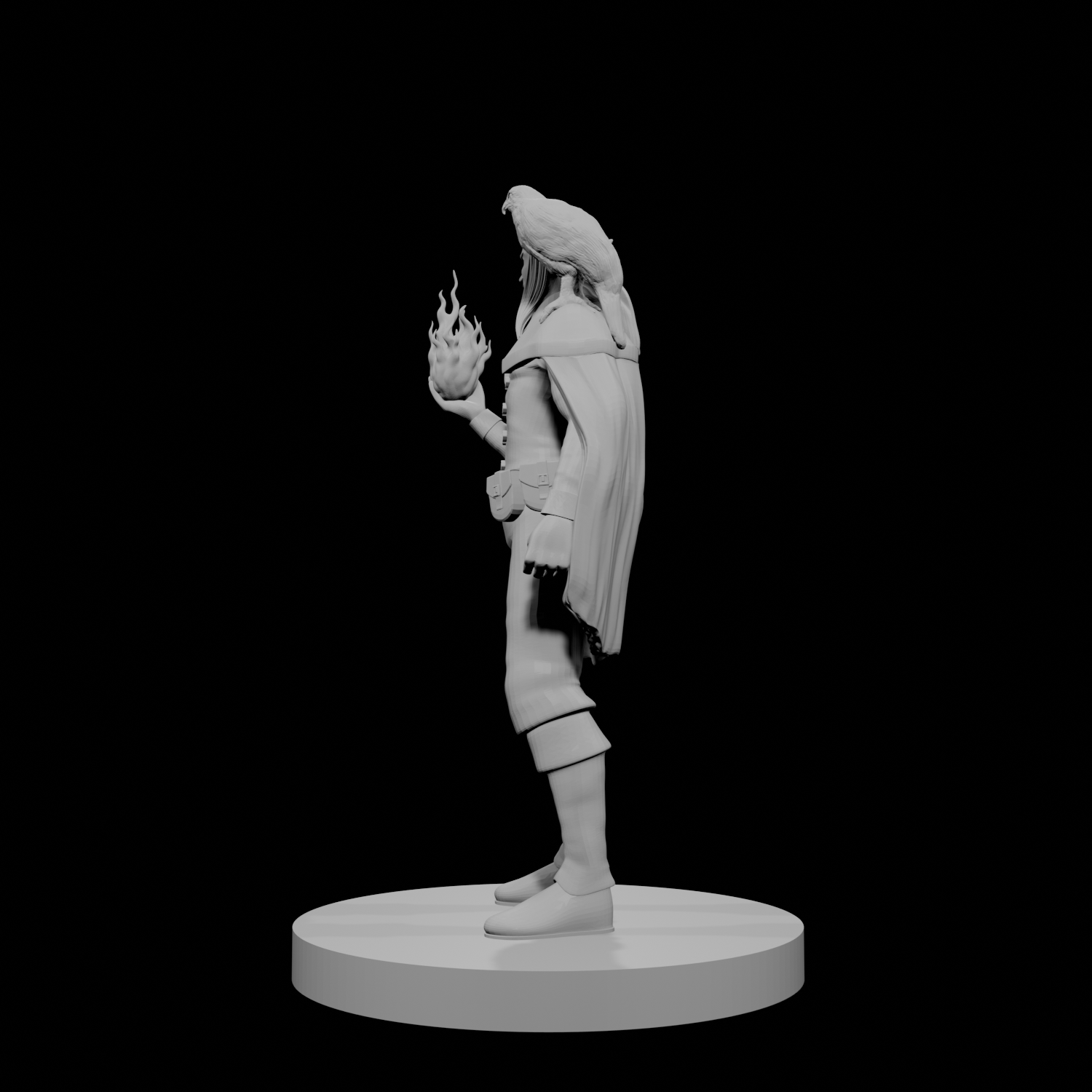 Elf Male Sorcerer with Hawk