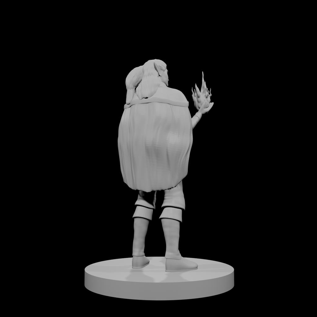 Elf Male Sorcerer with Hawk
