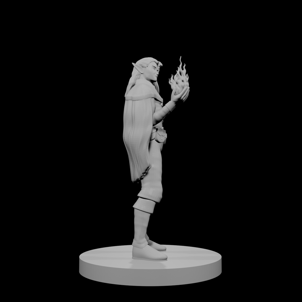 Elf Male Sorcerer with Hawk
