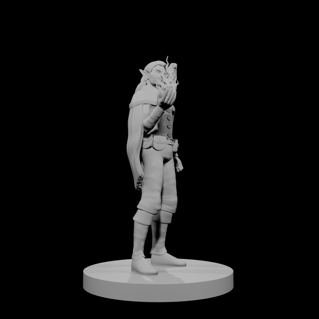 Elf Male Sorcerer with Hawk