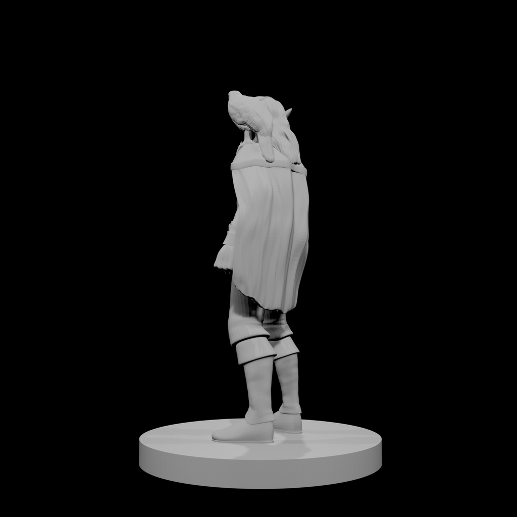 Elf Male Sorcerer with Hawk